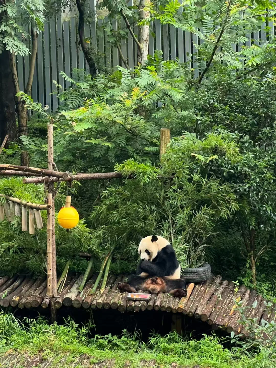 暑期贵阳五天四晚怎么玩路线预算与抢票全攻略+FAQ 7