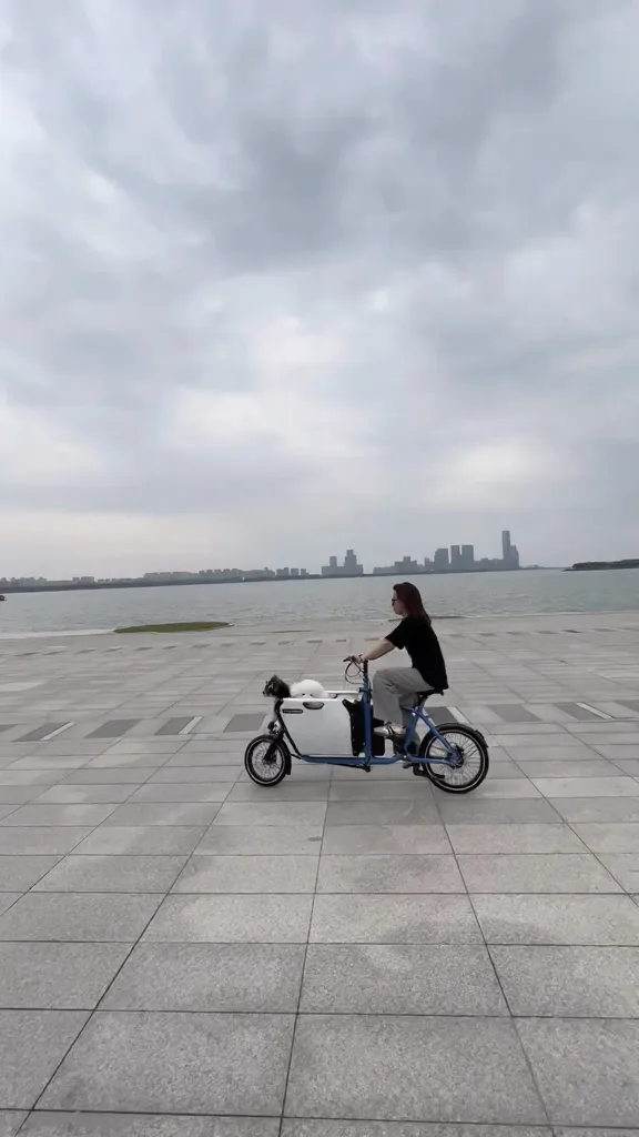 小狗爽玩苏州!下次还来!! 图片 13