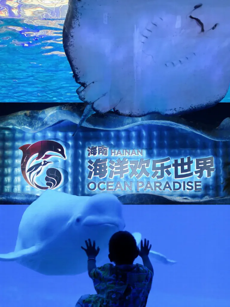 海南海洋欢乐世界，真的不止有海！