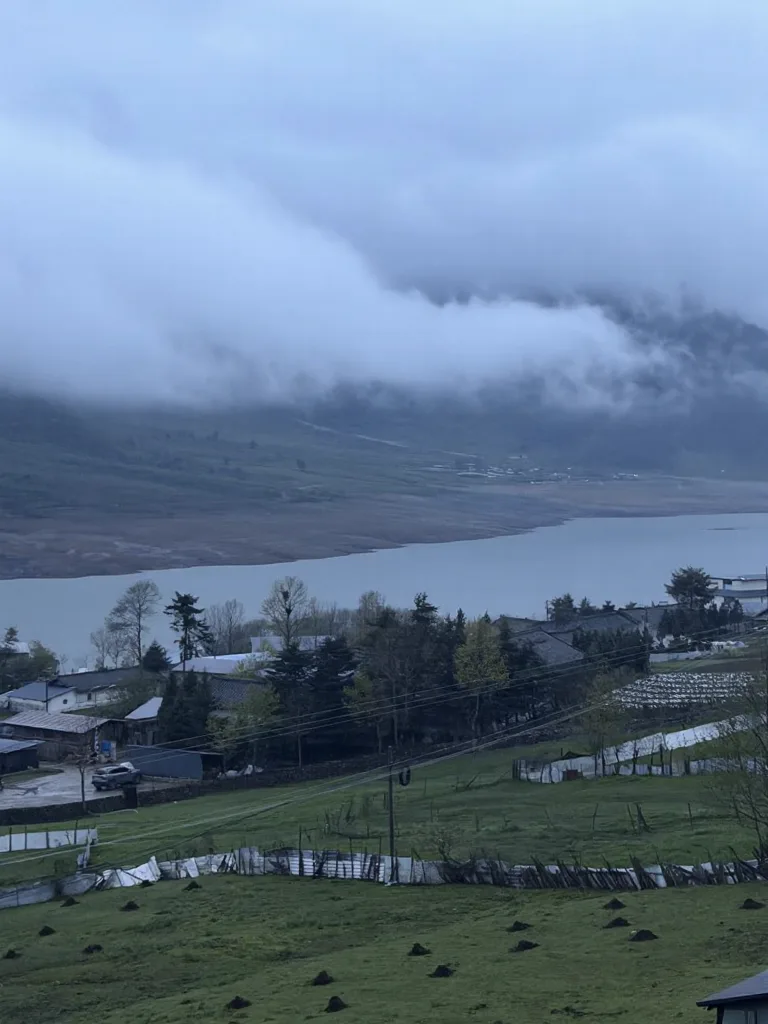 冶勒湖🌧️原来快乐不是天气给的,是小狗给的 图片 2