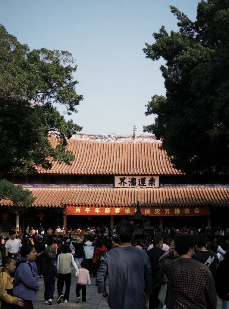 泉州|跟着老李的播客逛开元寺 图片 16