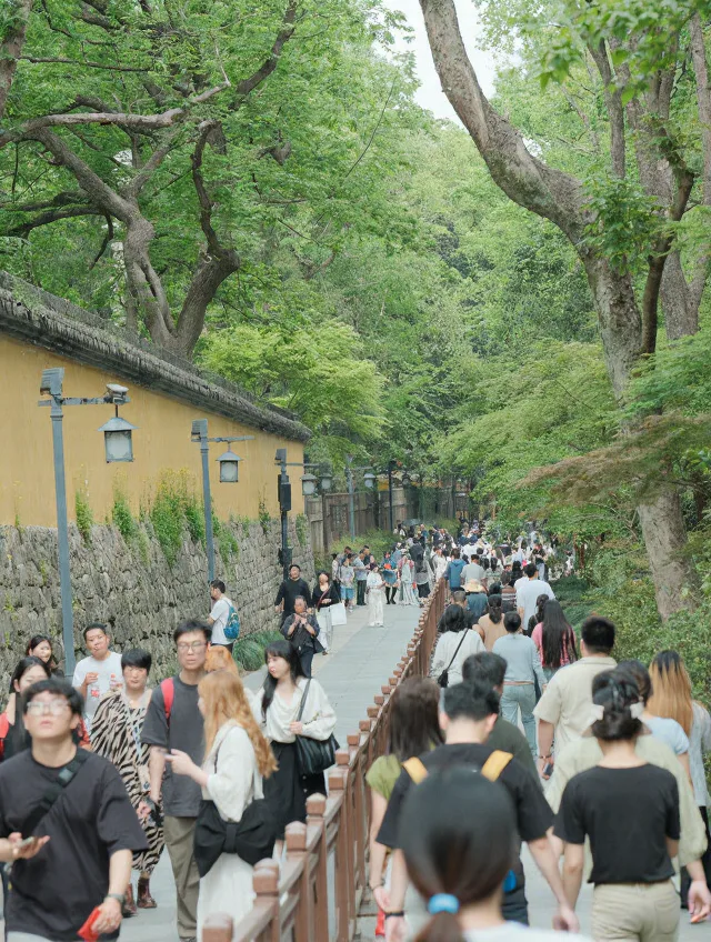 领惜福水请十八籽，灵隐禅意一日游 图片 9