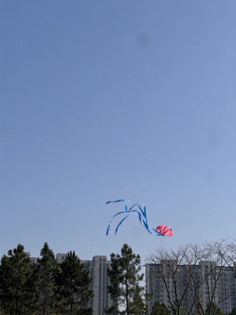 太仓露营天花板!过年躺草坪太舒服☀️ 图片 4