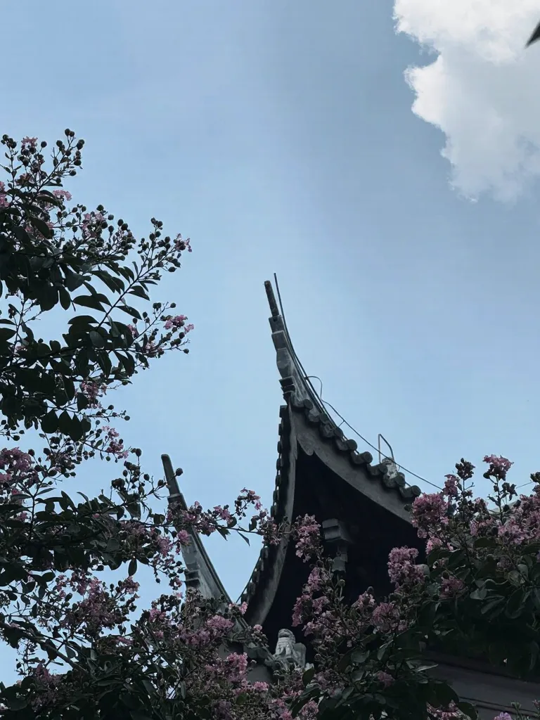 观音成道日的龙华寺,真的太特别了 图片 3