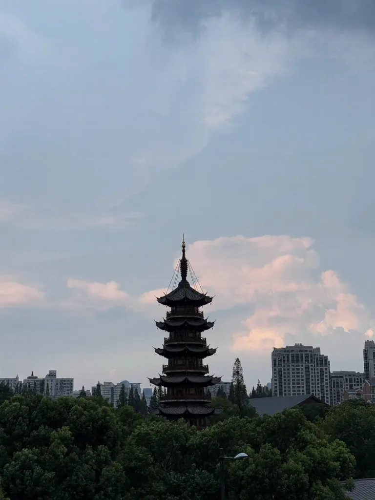 观音成道日的龙华寺,真的太特别了 图片 18