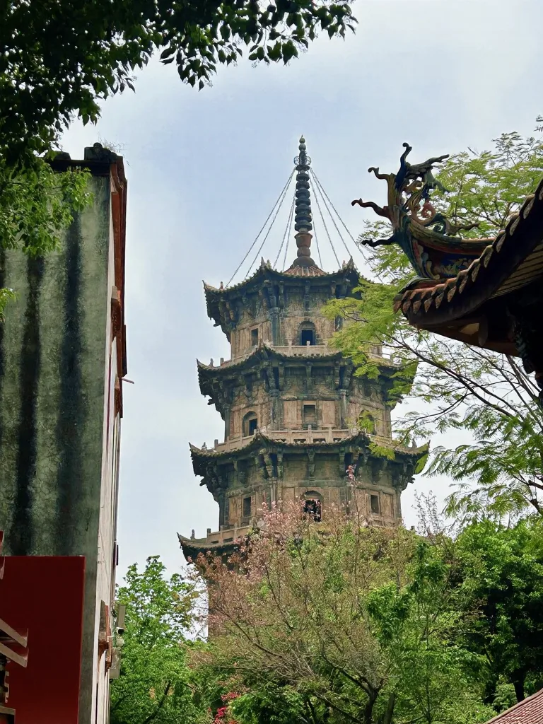 第一次去泉州开元寺｜血泪避坑指南 图片 3