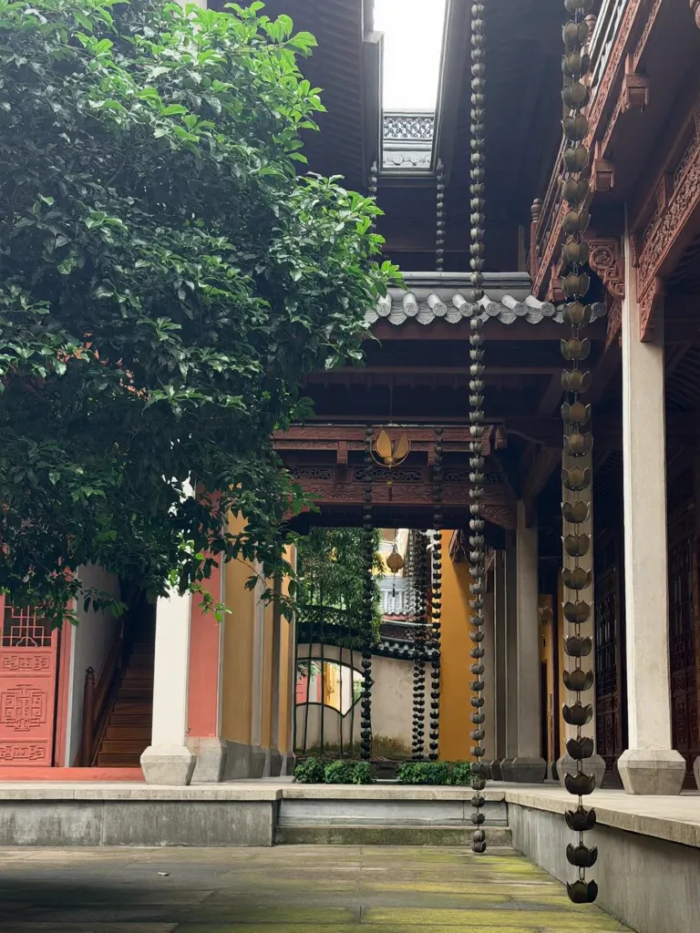 灵隐扫地僧体验|扫一帚尘埃,得片刻心安 图片 9