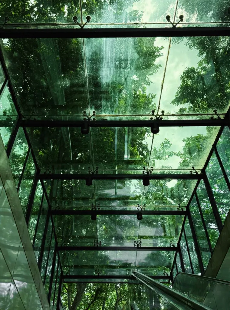 淡人12h杭州环西湖Citywalk路线🌿 图片 10