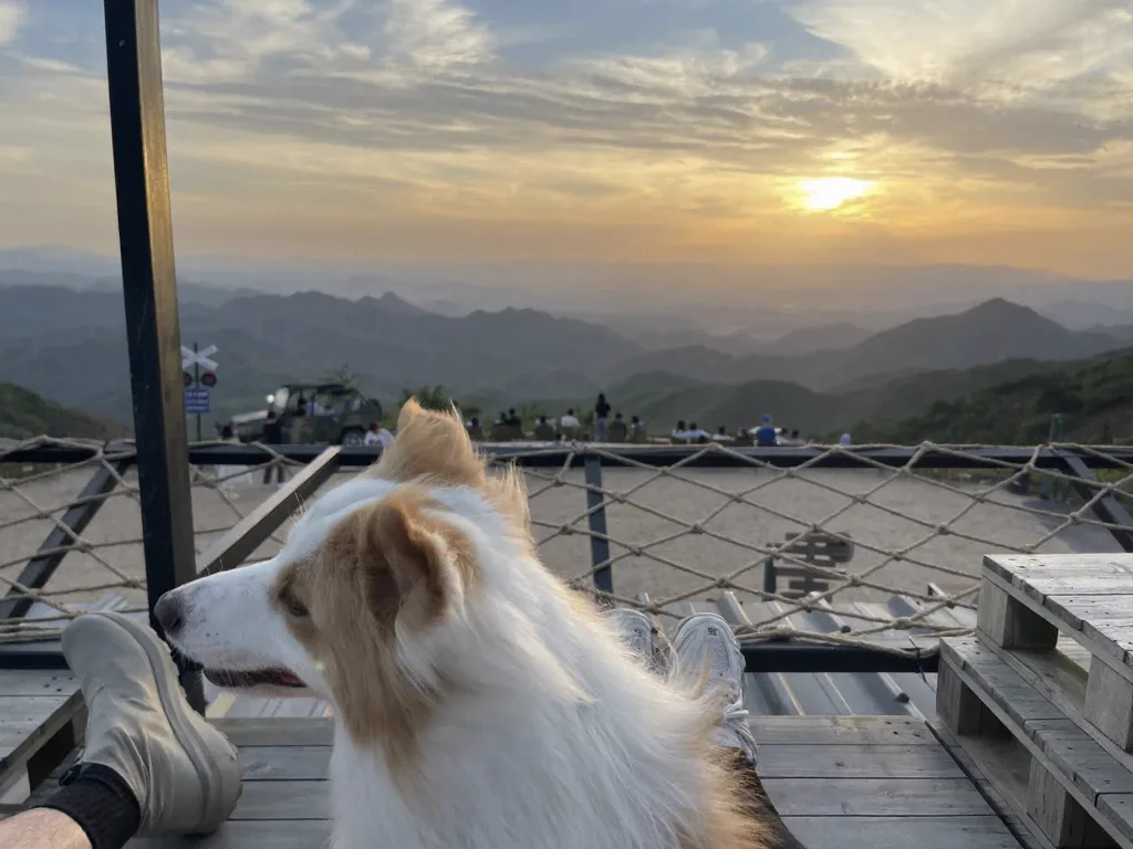 感谢每个宠物友好景点和酒店！莫干山 图片 10