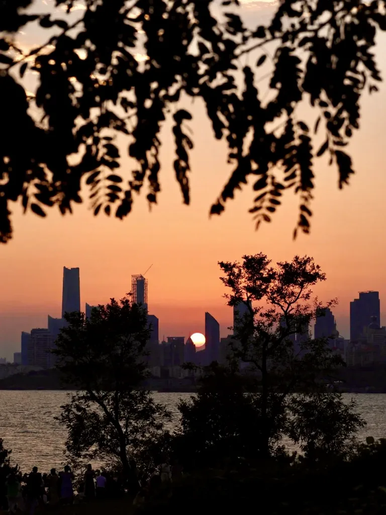 青岛的傍晚美得像一部电影🌇 图片 10