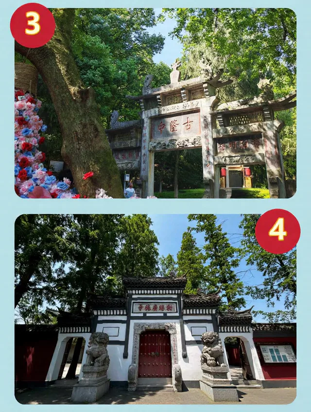 不挤不贵!8️⃣座城亲测零差评,哪个最治愈? 图片 2