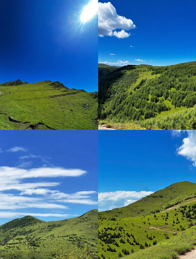🍃天水返程分享|7-8月遛娃清凉人文两不误 图片 4