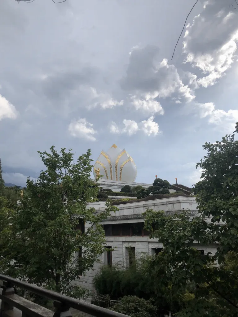 东林寺祖庭Day4,i人到哪都是i人 图片 5