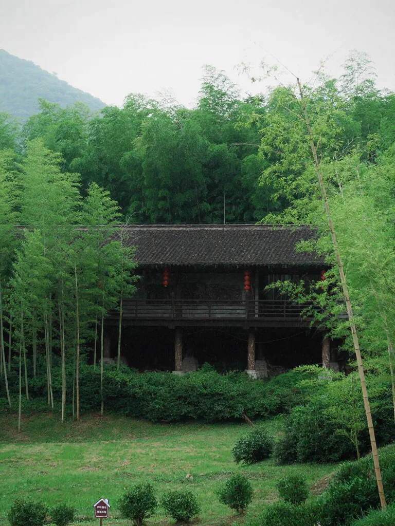 📍长兴 72小时躺平攻略，人少景美太安逸