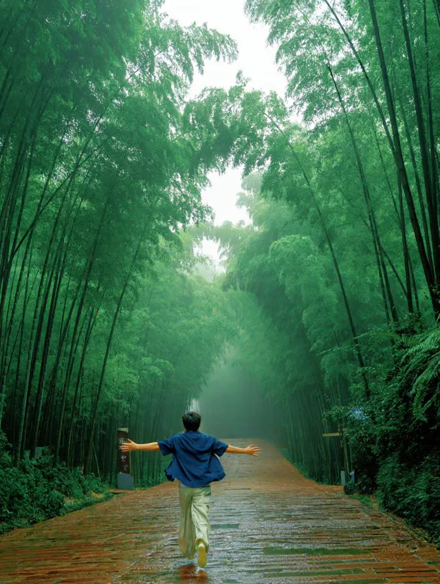 蜀南竹海24℃避暑🍃懒人直接冲! 图片 2