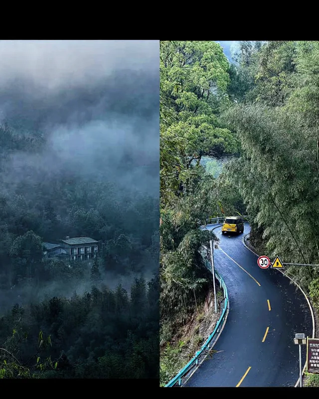 蜀南竹海24℃避暑🍃懒人直接冲! 图片 3