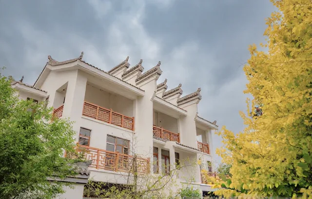 来银川找芙蓉古城,差点一头扎进居民小区😂 图片 7