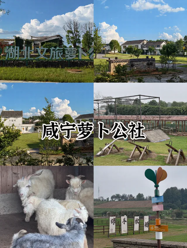 武汉自驾2h✨躺平式遛娃宝地,不爬山不费妈 图片 2