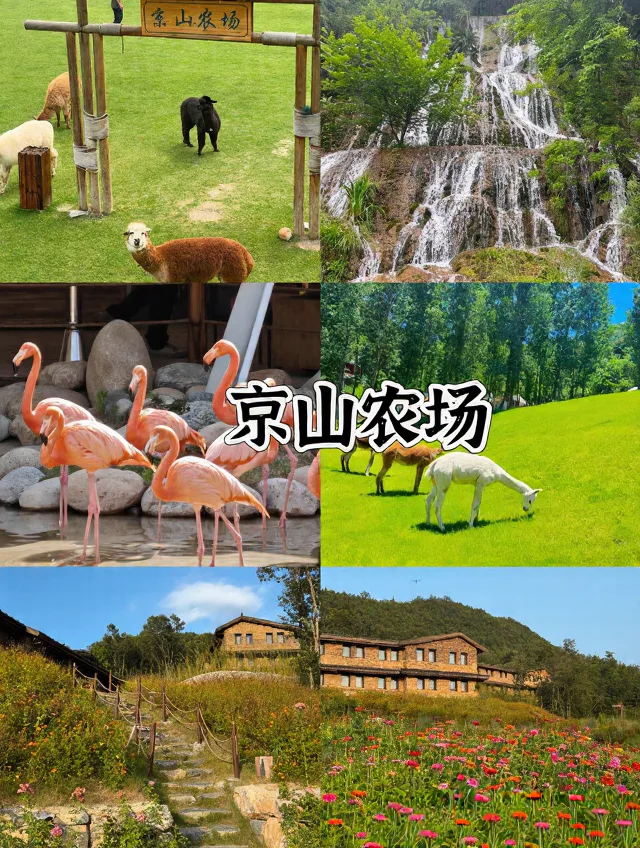 武汉自驾2h✨躺平式遛娃宝地,不爬山不费妈 图片 4