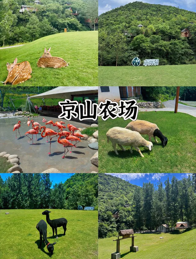武汉自驾2h✨躺平式遛娃宝地,不爬山不费妈 图片 5