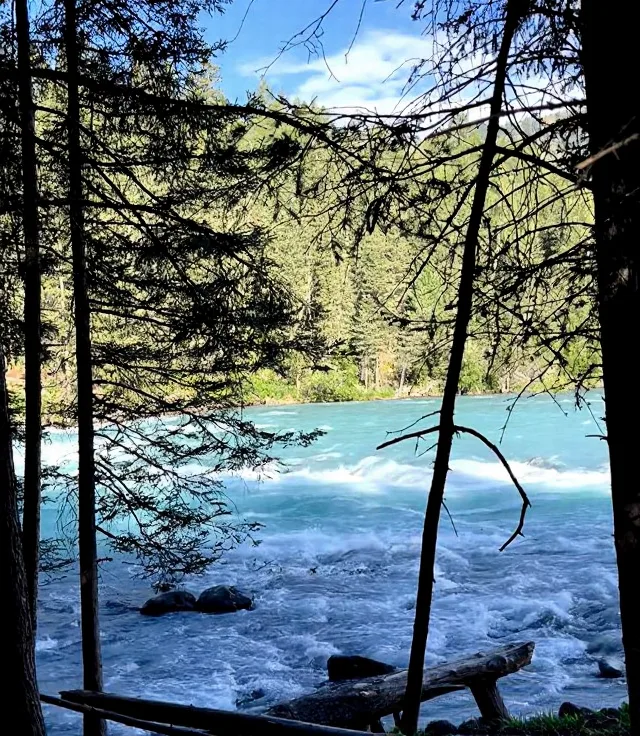 奔赴喀纳斯!找寻藏在阿尔泰山里的人间净土🏞️ 图片 9