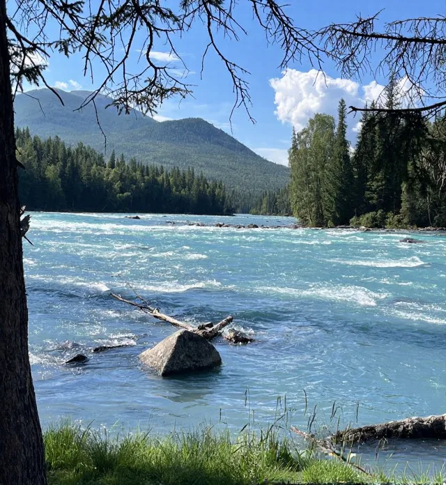 奔赴喀纳斯!找寻藏在阿尔泰山里的人间净土🏞️ 图片 10
