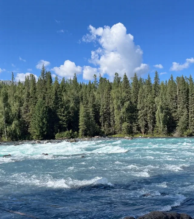 奔赴喀纳斯!找寻藏在阿尔泰山里的人间净土🏞️ 图片 11