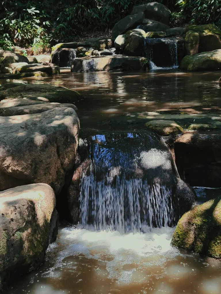 苏州虎丘 solo trip，东坡没骗我⛰️ 图片 8
