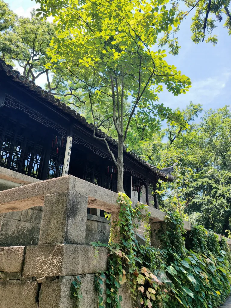 苏州虎丘 solo trip，东坡没骗我⛰️ 图片 10