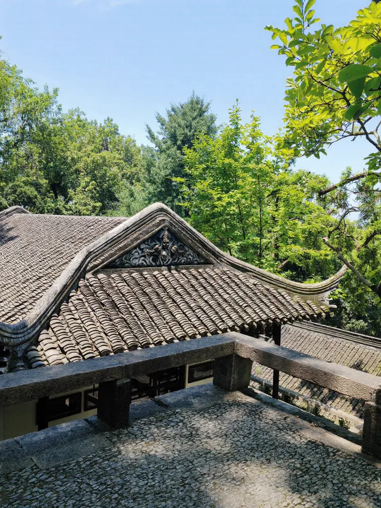 苏州虎丘 solo trip，东坡没骗我⛰️ 图片 14