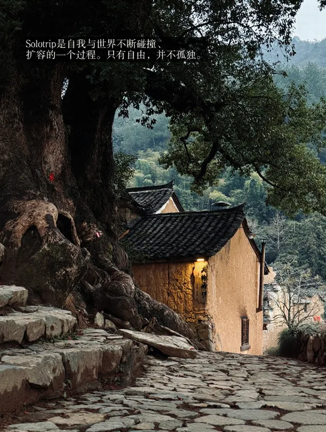 松阳 Solo Trip 实录|一个人旅行真会上瘾💗 图片 7