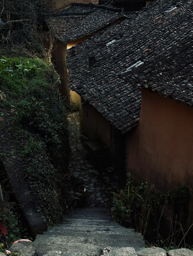 松阳 Solo Trip 实录|一个人旅行真会上瘾💗 图片 10