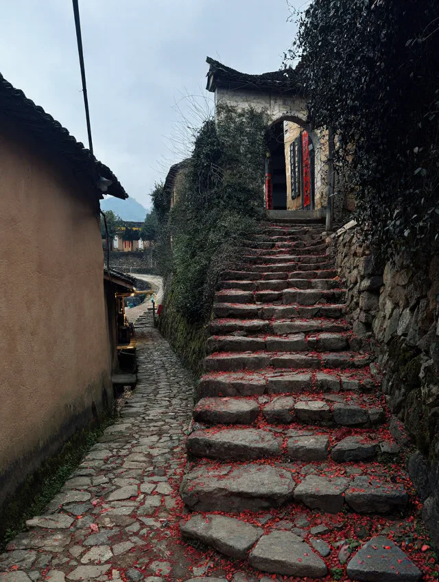 松阳 Solo Trip 实录|一个人旅行真会上瘾💗 图片 11