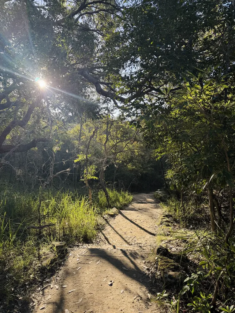 悉尼必走！Spit to Manly神仙徒步线 图片 14