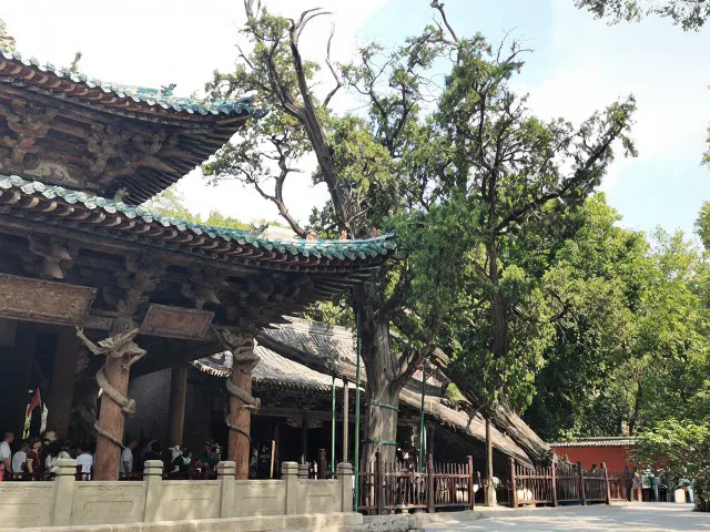 自驾晋祠与博物院，一眼千年 图片 6