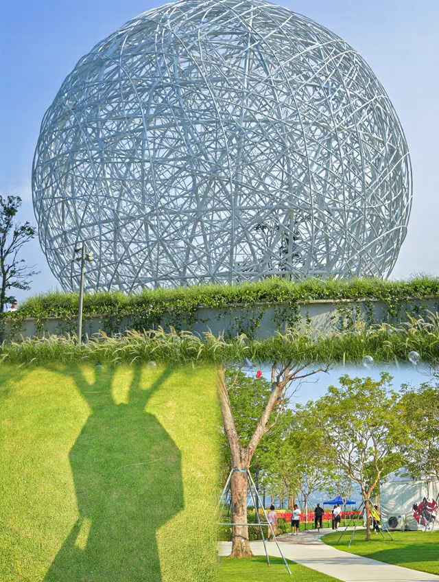 深圳五天回来，消费观直接崩塌 图片 3
