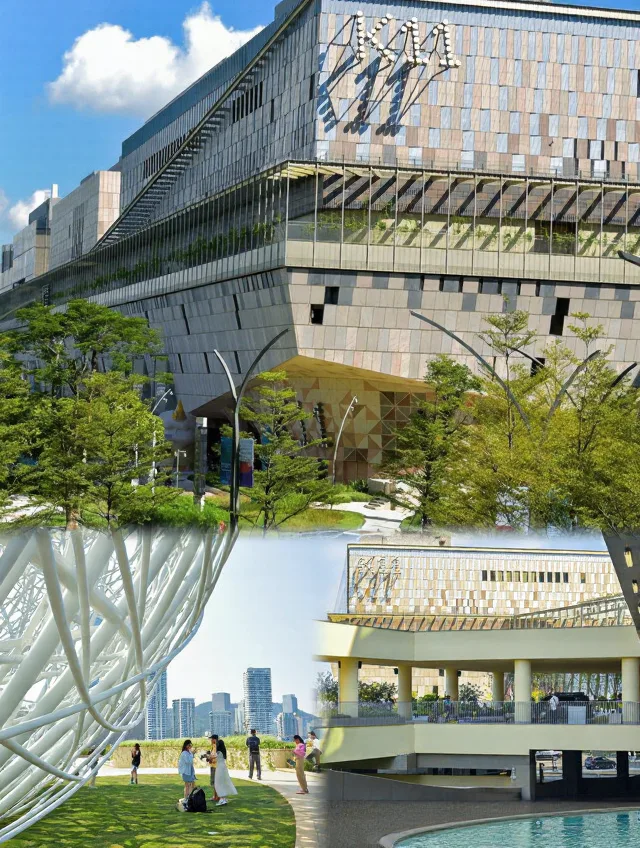 深圳五天回来，消费观直接崩塌 图片 5