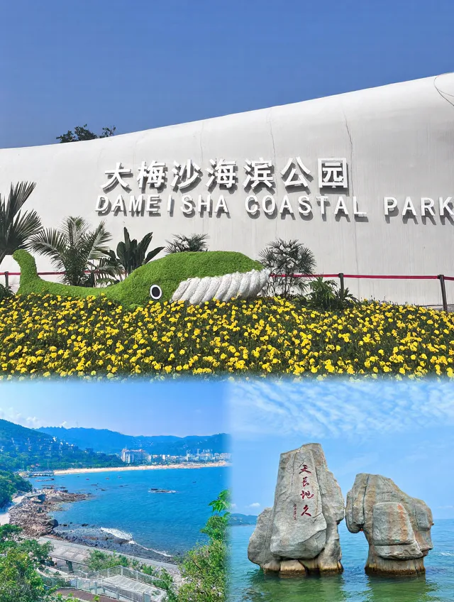 深圳五天回来，消费观直接崩塌 图片 7