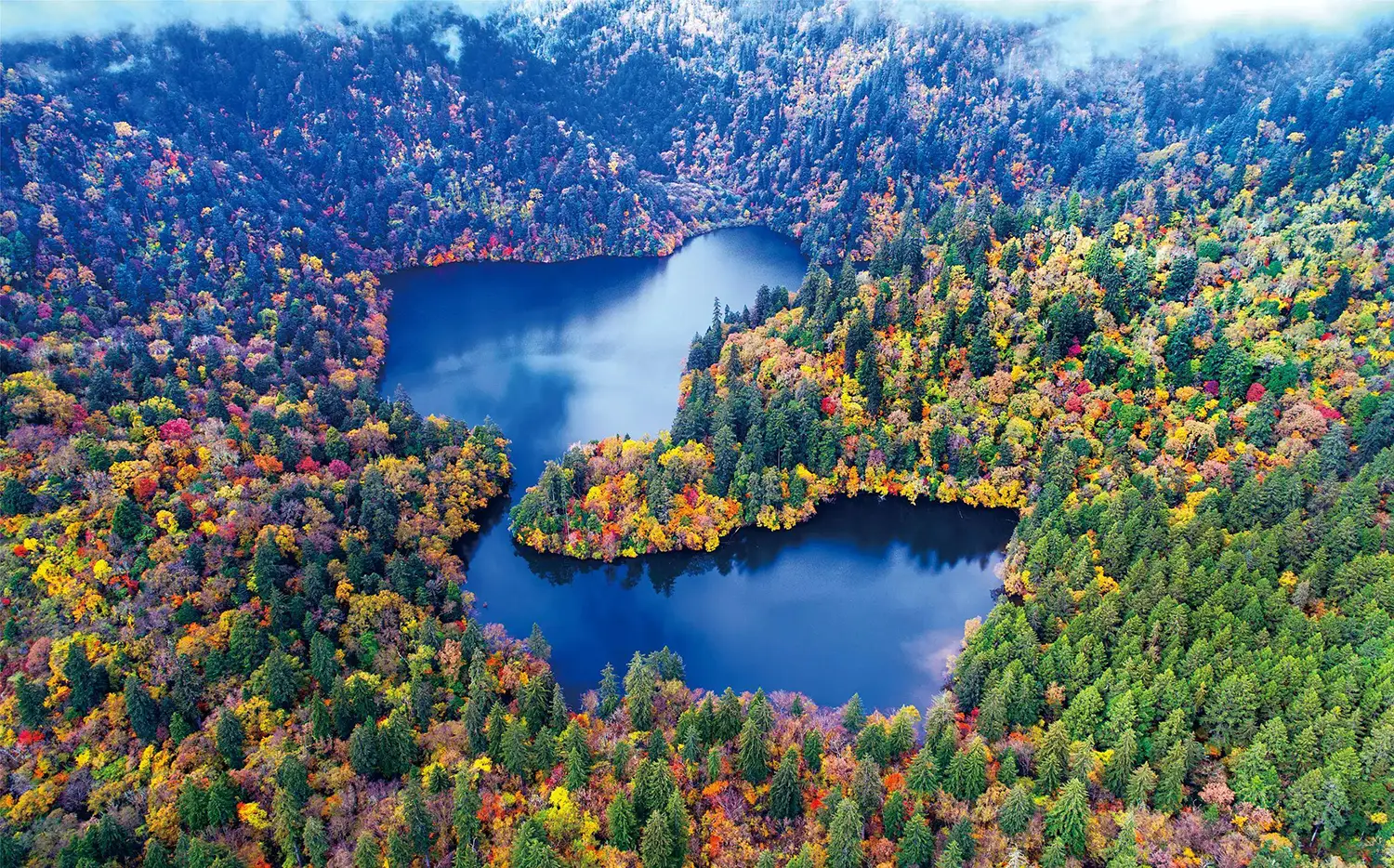 An open natural landscape