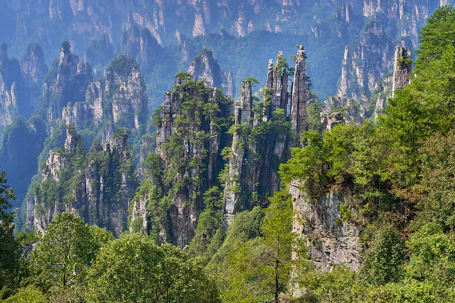 Tall sandstone peaks rising from a green valley